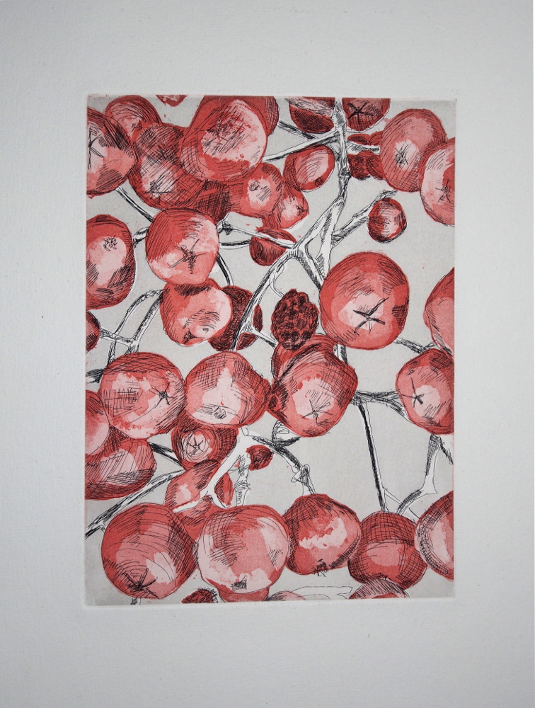 Beeren in Makroansicht, rot schwarz