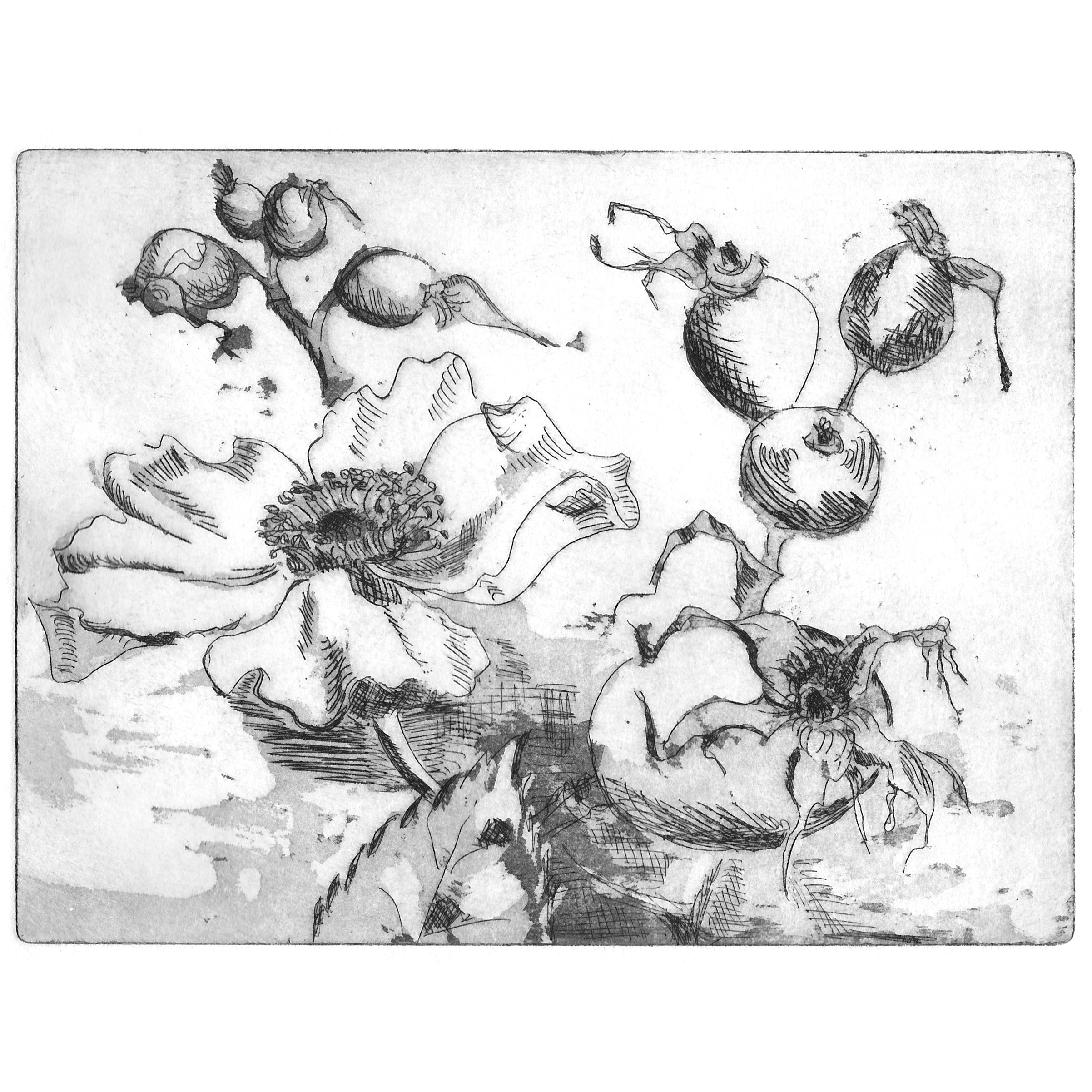 Radierung, Hagebutten spielersch 