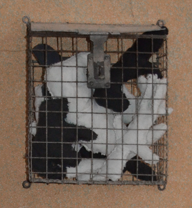 Figuren in einem Käfig