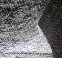 Ästhetik des Zerfalls Detail