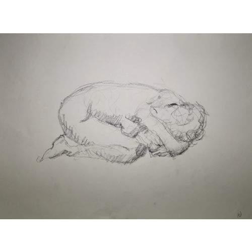 w Akt kniend auf Boden nach vorne gebeugt, mit Kopf auf Boden in den Armen/Händen vergraben. Seitenansicht.