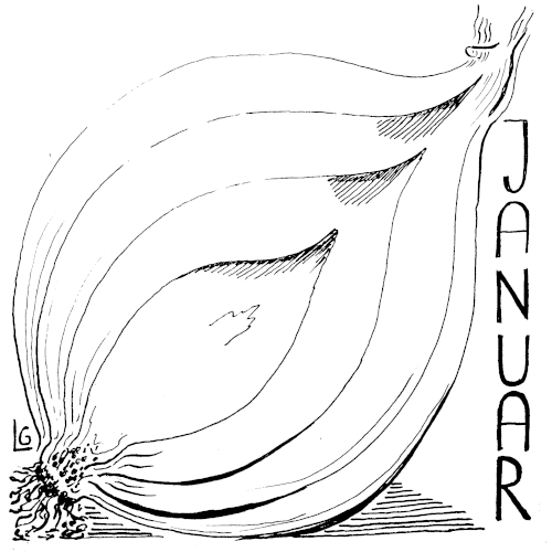 Eine aufgeschnittene Zwiebel als Symbol für Januar, denn man trägt 7 Kleider übereinander, liebt Zwiebelsuppe, und das kommende Jahr wird sich erst noch entblättern, Schale um Schale, Haut um Haut.