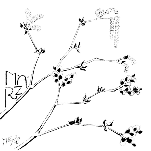 Maikätzchen, die ja inzwischen schon früher erwachen, haben sich hier als Symbol für den März eingeschlichen.