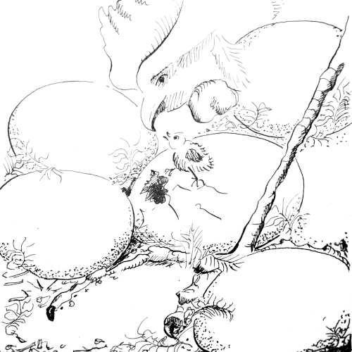 Die Henne und das Kücken, das gerade dem Ei entschlüpft, begrüßen sich etwas erstaunt.