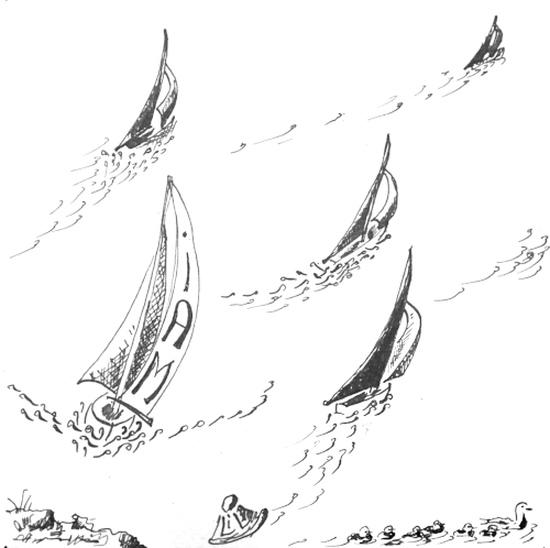 Im Mittelpunkt des Bildes steuert eine Segelregatta auf den Betrachter zu. Wer genau hinsieht, entdeckt noch eine zweite Regatta, nämlich die von Mama-Ente samt Kücken, die sich in zunehmenden Wellenschlag im Vordergrund eilig aus dem Staub machen.