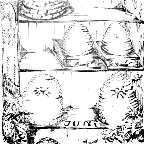 Bienenkörbe, an deren Öffnungen sich die fleißigen Bienen sammeln. Auch im Vordergrund gibt es einige Bienen in Zoom-Einstellung zu betrachten.