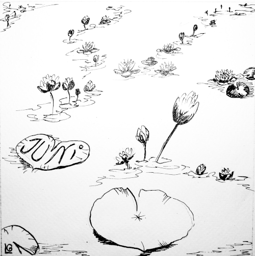 Erzählt auch dieses Bild eine Geschichte? Über der stillen Wasseroberfläche träumen die Seerosen still und glücklich vor sich hin und teilen durch ihre Schönheit auch ein klein wenig davon dem Betrachter mit.