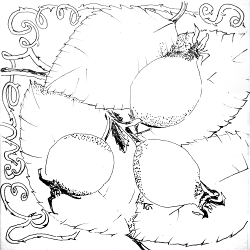 Drei dicke fette Hagebutten im Zentrum mit ein paar Blättern und außen herum schlängelt sich der Rosenzweig und schreibt das Wort: September.