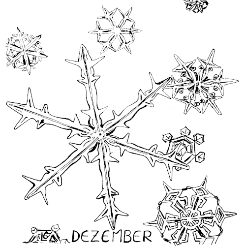 Text für Menschen die einen Screenreader benutzen möchten:
Die vorerst letzte Zeichnung zeigt die Schönheit und Zerbrechlichkeit eines Eiskristalls wie in Makroaufnahme. Es wird nicht bleiben, es wird schmelzen und erinnert an die Vergänglichkeit der Zeit.